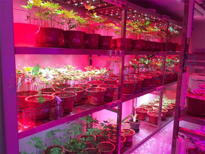 中國(guó)農(nóng)業(yè)科學(xué)院特產(chǎn)研究所氣候室應(yīng)用進(jìn)展順利